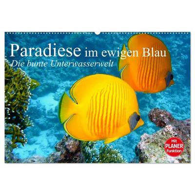 Paradiese im ewigen Blau. Die bunte Unterwasserwelt (Wandkalender 2027 DIN A2 quer), CALVENDO Monatskalender