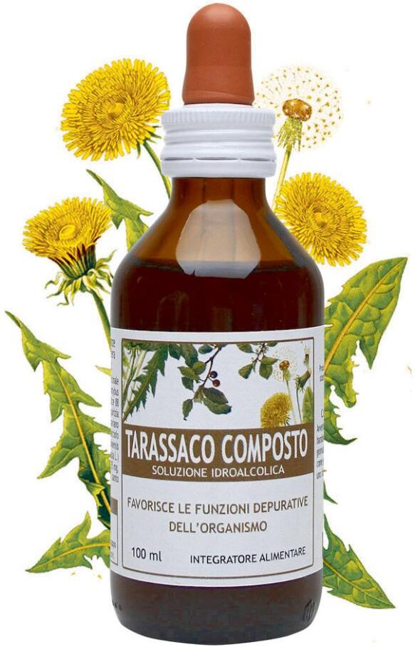 SALUS IN ERBIS Srl TARASSACO COMPOSTO 100ML