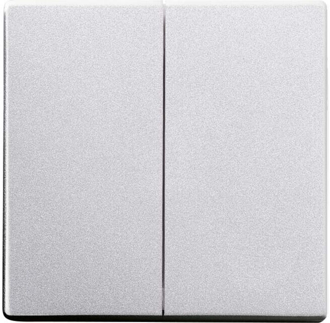 Busch-Jaeger Bascule alusilber pour télécommande 6736 FoH-83 (2CKA006730A0135)