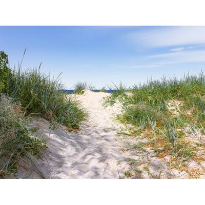 Fototapete PAPERMOON "Dünen in der Ostsee", bunt, B:3m L:2,23m, Vlies, Tapeten
