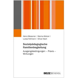 Sozialpädagogische Familienbegleitung, Fachbücher von Lukas Fellmann, Heinz Messmer, Oliver Käch, Marina Wetzel