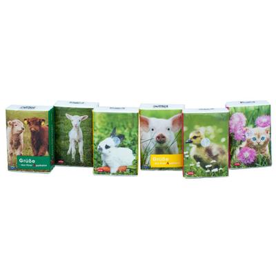 Taschentücher Pocket Tierkinder 336x7 St Tücher
