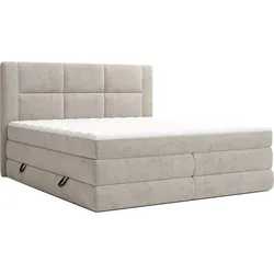 XORA Boxspringbett REVANO - LF ca. 180.00x200.00