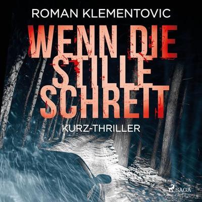 Wenn die Stille schreit - Roman Klementovic, Audio, 4066338221643