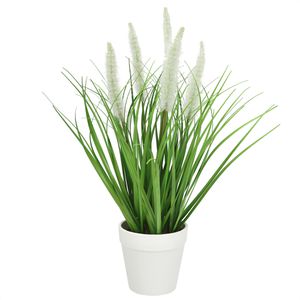 I.GE.A. Kunstpflanze Fuchsschwanzgras, im Topf, Höhe 35 cm