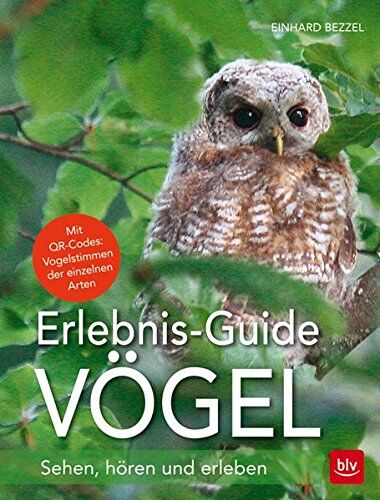 Einhard Bezzel - Erlebnis-Guide Vögel: Sehen, hören und erleben - Preis vom 11.10.2026 03:10:56 h