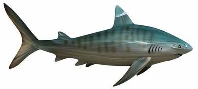 T.i./New Metal Design Tiger Shark Wall Art Sculpture Aqua , Aqua