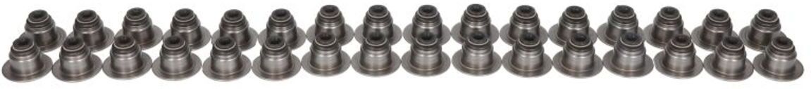 Dichtungssatz, Ventilschaft MAHLE SS46079