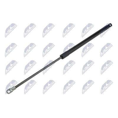 NTY Gasfeder, Koffer-/Laderaum AE-FT-043 für Fiat