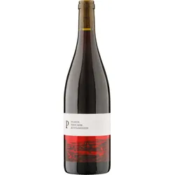 Pinot Noir Buntsandstein Qualitätswein Pfalz 2022, Bio Rotwein, Biowein