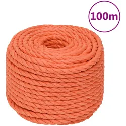 vidaXL, Seil, Fabelin (100 m)
