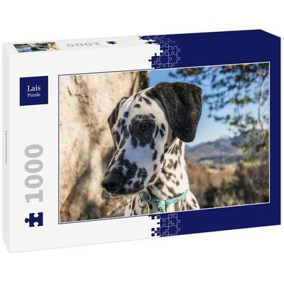 Lais Puzzle Dalmatiner 1000 Teile