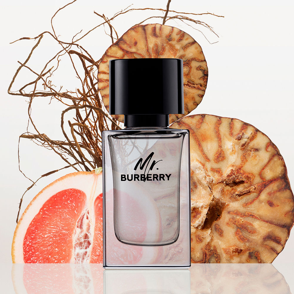 MR. Burberry eau de toilette vaporisateur 100 ml