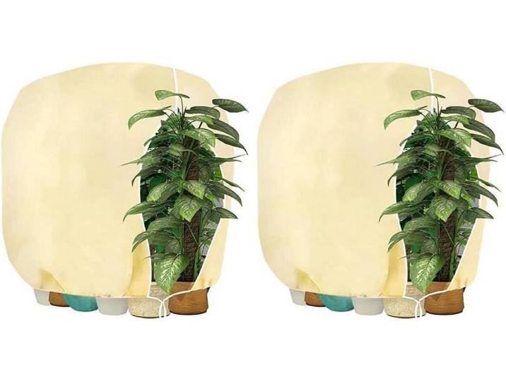 Winterschutzhaube für Pflanzen 160x180cm Beige 2 Stück