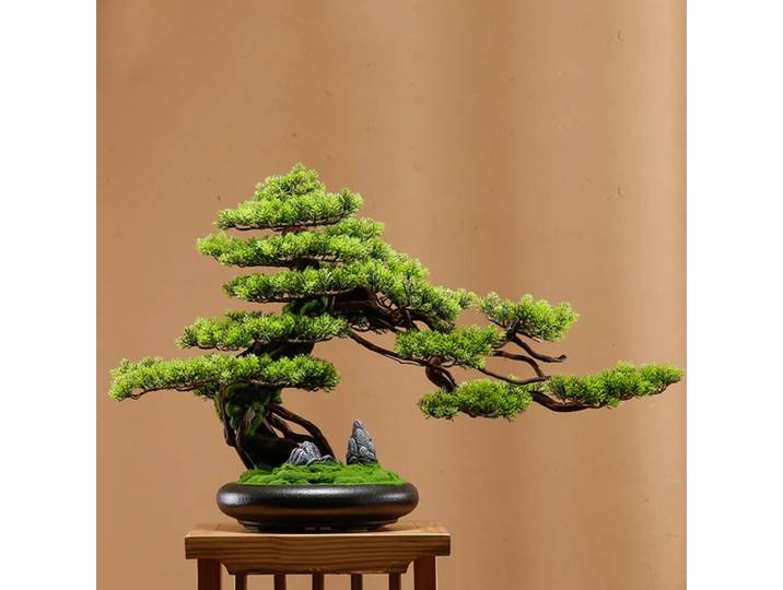 Plante de Simulation de Style chinois, salon, meuble TV, porche, décoration de la maison, bureau, invités de bienvenue, ornements en pot de pin
