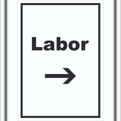 HB-Druck Labor Schild mit Text und Richtungspfeil rechts untersuchen forschen hochkant A4 (210x297mm)