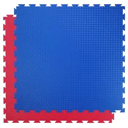 TRENDY SPORT Sportmatte Bodenmatte Standard - 100x100x2 cm Blau/Rot