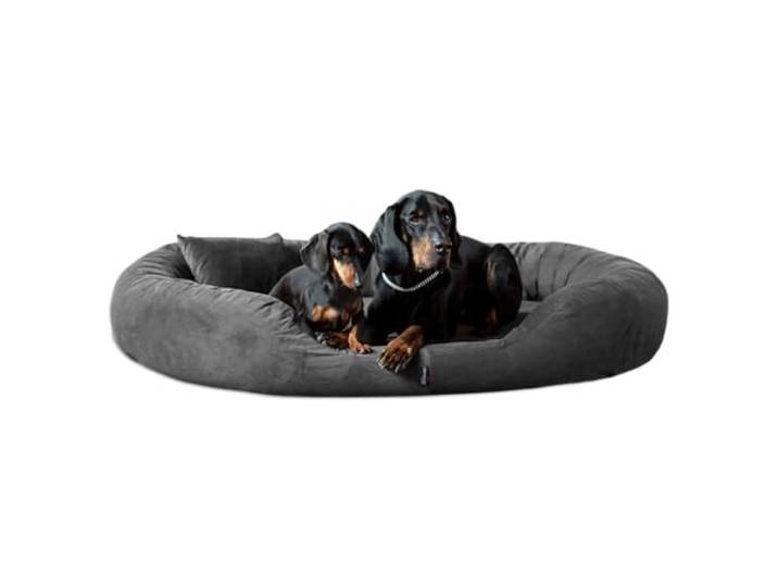 tierlando® Orthopädisches Hundebett Sammy Soft mit viscoelastischer Matratze und hohem Rand aus Velours für gelenkschonenden Schlaf und höchsten Komfort Größe: 140x105cm Farbe: 02 Graphit