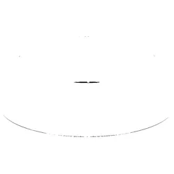 Hansa Kugelhaube 2.5 chrom 59913957
