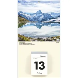 ZETTLER Kalenderrückwand 18x33cm für Typ 302 / 304 / 305 / 312 Natur sortiert