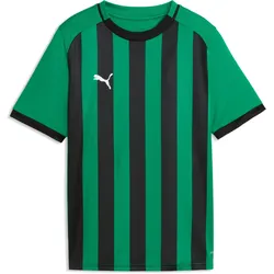 Puma, Jungen, Sportshirt, TeamLiga26 Stripped (104), Grün, Mehrfarbig, Weiss, Schwarz
