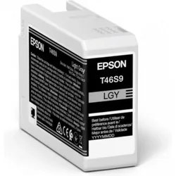 Epson T46S9 - Hellgrau - Druckerpatrone