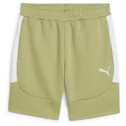 PUMA teamEvostripe Shorts Herren 40 - calming green/puma silver/puma white XL