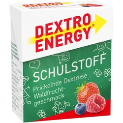 DEXTRO ENERGY SCHULSTOFF WALDFRUCHT 50 g Täfelchen