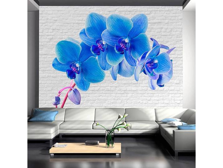 Vliestapete Blue Excitation 250 x 175cm 250 x 175 cm