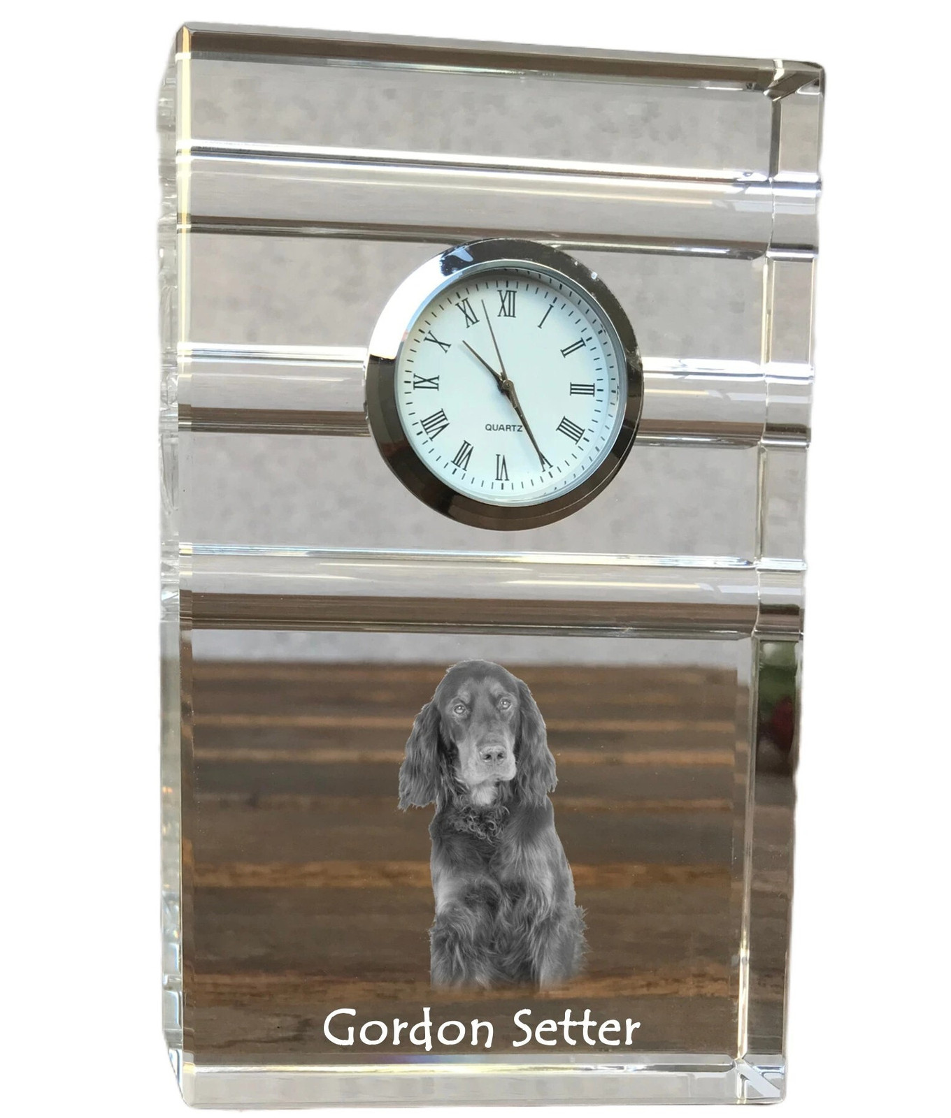 Art-Dog Klok Gordon setter voor volwassenen