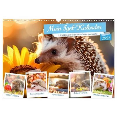 Mein Igel-Kalender (Wandkalender 2027 DIN A3 quer), CALVENDO Monatskalender