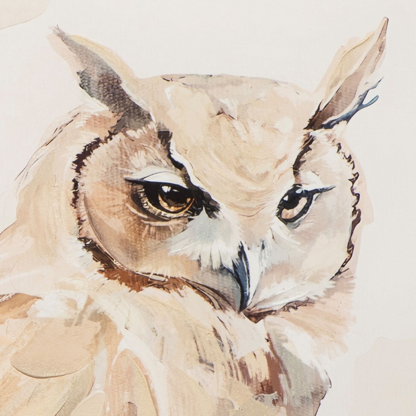 image LAND Natural Owl