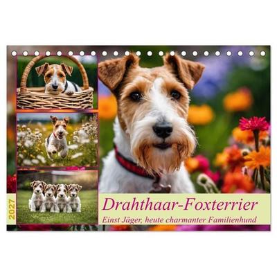 Drahthaar-Foxterrier (Tischkalender 2027 DIN A5 quer), CALVENDO Monatskalender