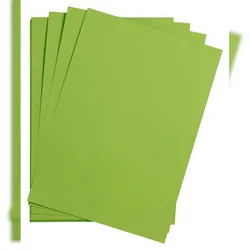 Clairefontaine Maya Bastelkarton A1 185g 25 Bogen - Moosgrün 975652C