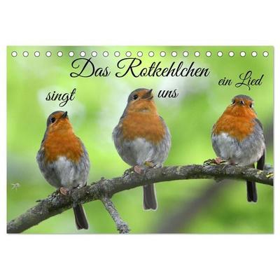 Das Rotkehlchen singt uns ein Lied (Tischkalender 2027 DIN A5 quer), CALVENDO Monatskalender