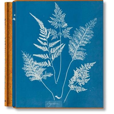 Anna Atkins. Cyanotypes, Gebundene Ausgabe von Peter Walther, Taschen, 978-3-8365-9098-3