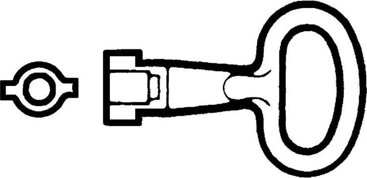 Schneider Electric dubbele sleutel, 5 mm, metaal (NSYLDB5)