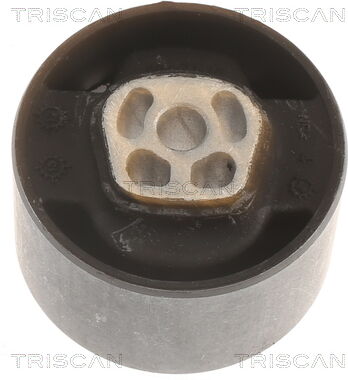 Triscan Lagerung, Motor 8505 10121 Für Peugeot