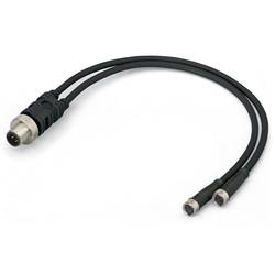 WAGO 756-5513/040-010 Sensor-/Aktor-Verteiler und Adapter M12 Stecker, gerade, Buchse, gerade, Buchse, gerade 1.00 m Polzahl Sensoren: 4 10 St. Package