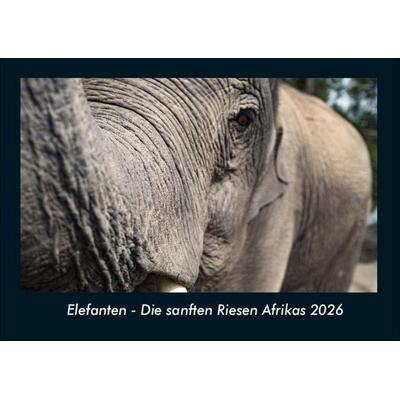 Elefanten - Die sanften Riesen Afrikas 2026 Fotokalender DIN A4