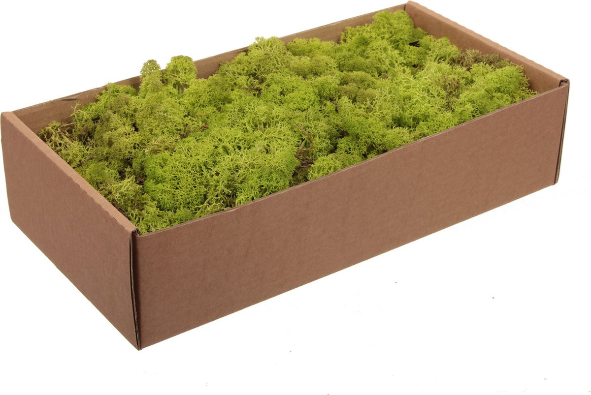 Othmar Decorations Finlands mos - lichtgroen - 500 gram