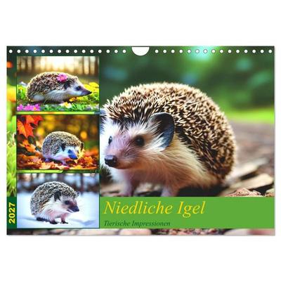 Niedliche Igel (Wandkalender 2027 DIN A4 quer), CALVENDO Monatskalender