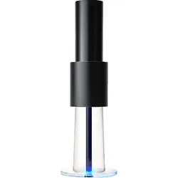LIGHTAIR IONFLOW Evolution Luftreiniger Schwarz (5 Watt, Raumgröße: 50 m2, Ionisator)