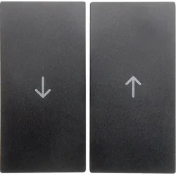 Berker Wippe anthrazit matt Symbol Pfeil 16251606