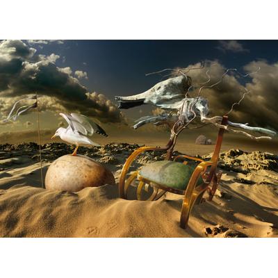 Fototapete PAPERMOON "Photo-Art RADOSLAV PENCHEV, MÖVE IN DER WÜSTE", bunt, B:4,5m L:2,8m, Vlies, Tapeten