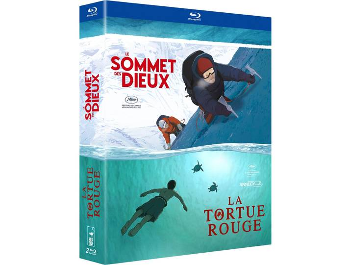 Le Sommet des dieux + La Tortue rouge