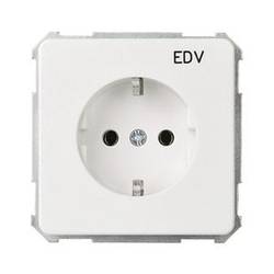 ELSO 205104 ELSO UP-Steckdoseneinsatz 205104 bedruckt EDV 16A reinweiß 10 St.