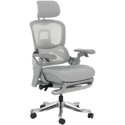 Carmen DOLE W Ergonomischer Bürostuhl – Grau