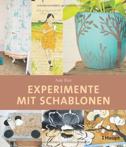 Amy Rice - Experimente mit Schablonen: Eigene Stencils entwerfen - Preis vom 09.10.2026 07:28:09 h