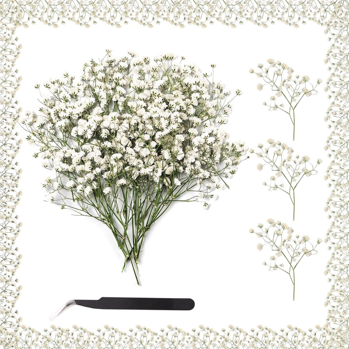 100 stuks gedroogde witte Gypsophila bloemen voor DIY handwerk en decoratie